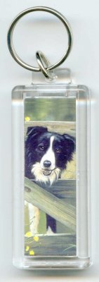 Border Collie Schlsselanhnger "Farm Gate"