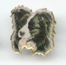 Border Collie-Pin