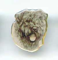 Bouvier des Flandres-Pin