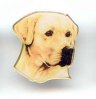 Labrador Retriever (hell)-Pin