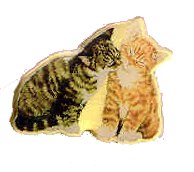 Schmusende Katzen-Pin