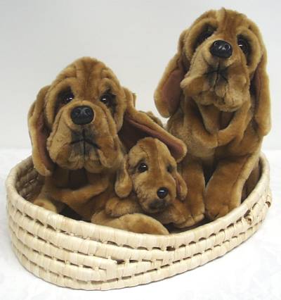 Plush Bloodhound Family