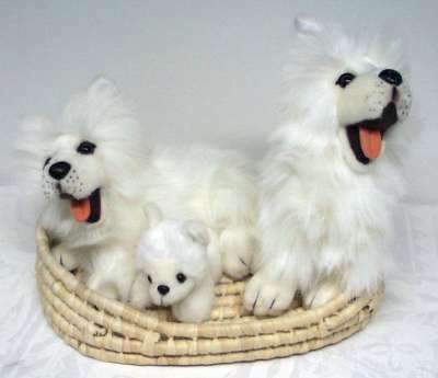 Plush Samoyed Family