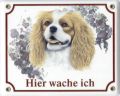 King Charles Spaniel Emailleschild