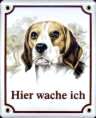 Beagle Emailschild