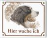 Berner Sennenhund Emailschild