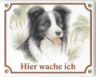 Border Collie Emailschild