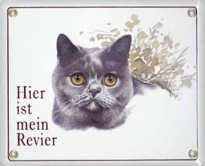 Britisch Kurzhaar Katze Emailschild -Emailleschilder hoher Qualität