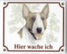 Bullterrier Emailschild