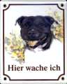 Staffordshire Bullterrier Emailschild