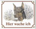 Dobermann (kup.) Emailleschild