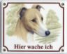 Greyhound Emailschild