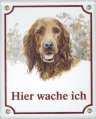 Irish Setter Emailschild