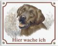 Labrador Retriever (braun) Emailleschild