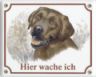 Labrador Retriever Emailschild