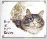 Maine Coon Katze Emailschild