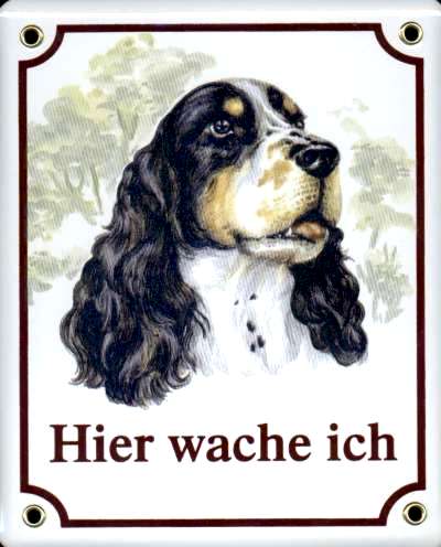 Springer Spaniel Emailschild