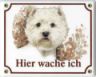 West Highland White Terrier Emailschild