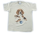 Beagle