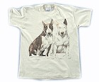 Bullterrier