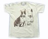 Bullterrier