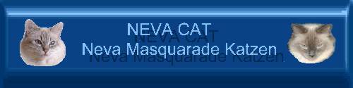 Neva Masquarade Katzen