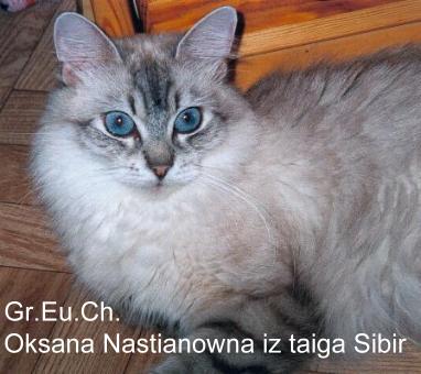 Neva Masquarade